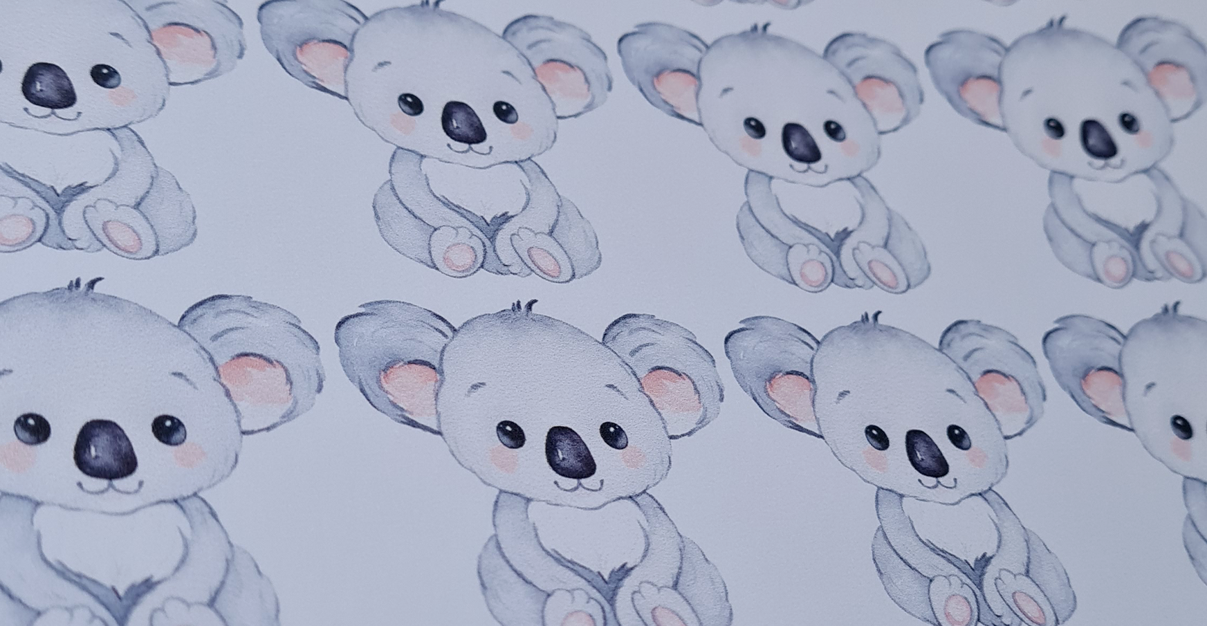fondkoalas